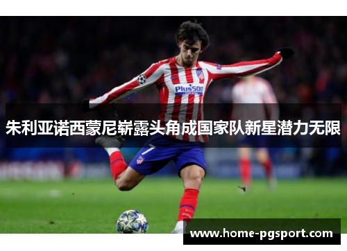 朱利亚诺西蒙尼崭露头角成国家队新星潜力无限 朱利亚诺西蒙尼崭露头角成国家队新星潜力无限