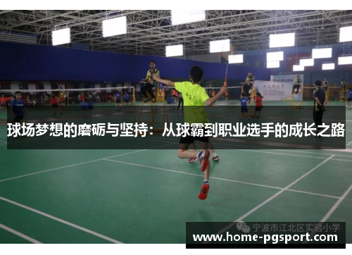 球场梦想的磨砺与坚持：从球霸到职业选手的成长之路
