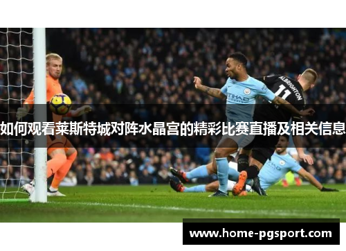 如何观看莱斯特城对阵水晶宫的精彩比赛直播及相关信息