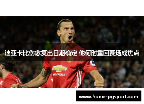 迪亚卡比伤愈复出日期确定 他何时重回赛场成焦点 迪亚卡比伤愈复出日期确定 他何时重回赛场成焦点